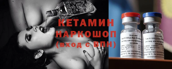 твердый Новозыбков