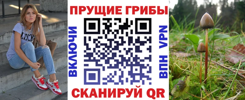 Галлюциногенные грибы мицелий  OMG онион  Полярные Зори 